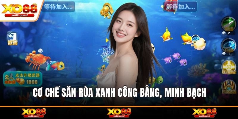 Cơ chế săn rùa xanh công bằng, minh bạch