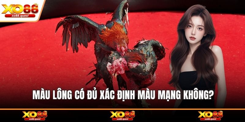 Màu lông có đủ xác định màu mạng không?
