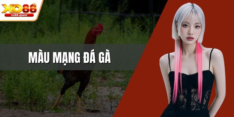 Màu mạng đá gà
