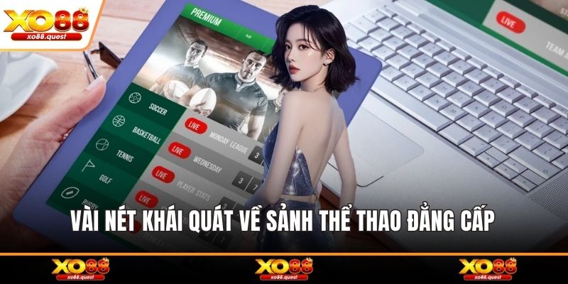 Vài nét khái quát về sảnh thể thao đẳng cấp